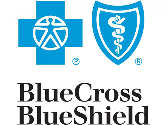 Blue Cross Blue Shield